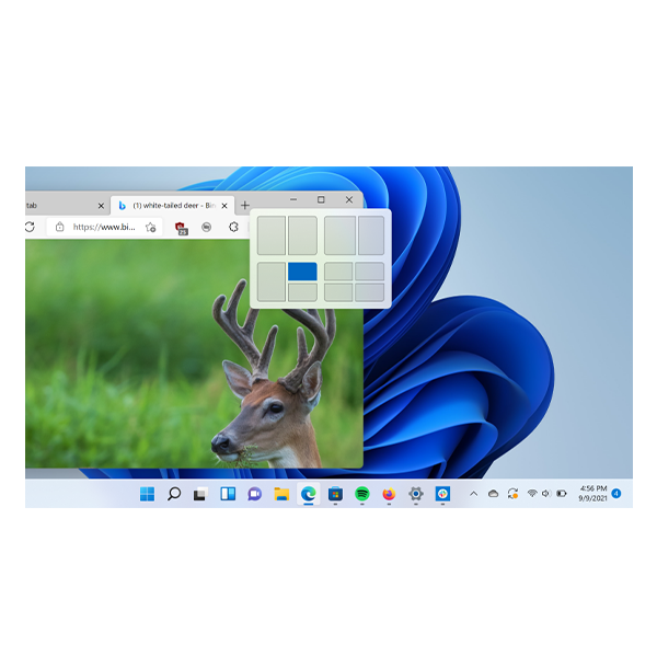 Windows Svr Std 2022 64Bit English 1pk DSP OEI DVD 16 Core - Image 6