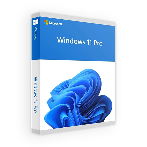 Win 11 Pro 64Bit Eng Intl 1pk DSP OEI DVD