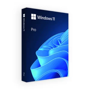Win Pro FPP 11 64-bit All Lng PK Lic Online DwnLd NR